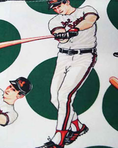 2001-sports-baseball-101.jpg 2001-sports-baseball-101.jpg