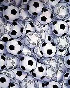 2031-sports-soccer-101.jpg 2031-sports-soccer-101.jpg