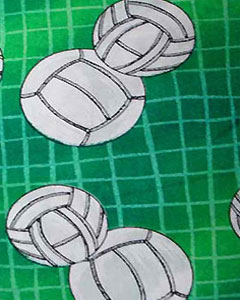 2076-sports-volleyball-101.jpg 2076-sports-volleyball-101.jpg