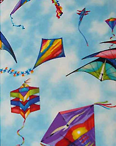 2100-sports-kayak.jpg 2100-sports-kayak.jpg