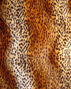 3002-animal-fur-leopard-102.jpg 3002-animal-fur-leopard-102.jpg