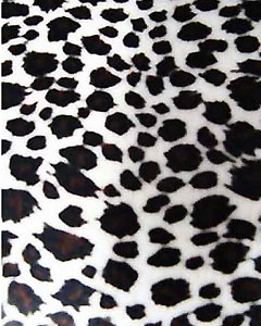 3003-animal-fur-leopard-103.jpg 3003-animal-fur-leopard-103.jpg
