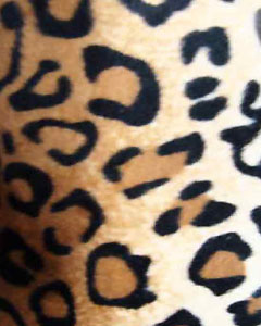3005-animal-fur-leopard-105.jpg 3005-animal-fur-leopard-105.jpg