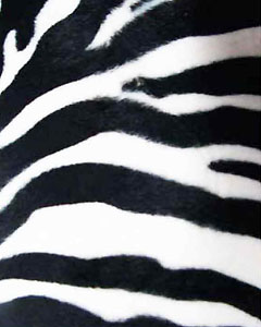 3013-animal-fur-zebra-103.jpg 3013-animal-fur-zebra-103.jpg