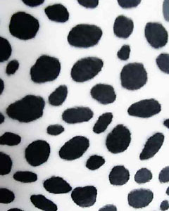 3024-animal-fur-chitta-101.jpg 3024-animal-fur-chitta-101.jpg