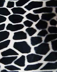 3026-animal-fur-giraffe-101.jpg 3026-animal-fur-giraffe-101.jpg