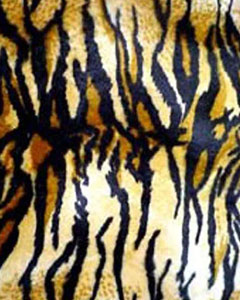 3041-animal-fur-tiger-101.jpg 3041-animal-fur-tiger-101.jpg
