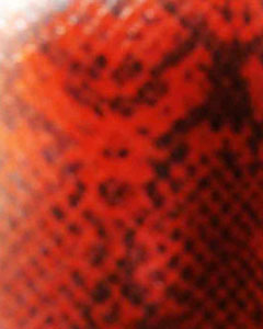 3061-animal-print-snake-101.jpg 3061-animal-print-snake-101.jpg