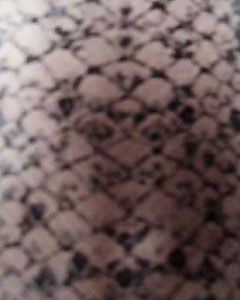 3062-animal-print-snake-102.jpg 3062-animal-print-snake-102.jpg