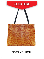 3063-python.jpg
