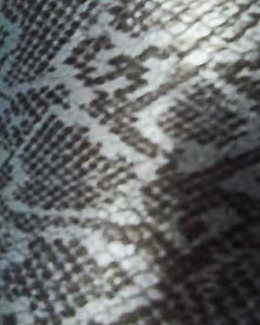 3064-animal-print-snake-104.jpg 3064-animal-print-snake-104.jpg