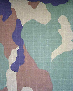 4301-cameo-fludge-101.jpg 4301-cameo-fludge-101.jpg