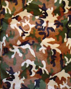 4302-cameo-fludge-102.jpg 4302-cameo-fludge-102.jpg