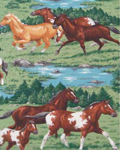 5003-horse-103.jpg