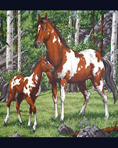 5005-horse-105.jpg