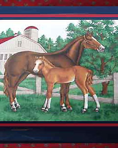 5011-horse-111.jpg