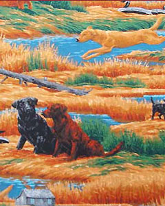 5051-dogs-101.jpg