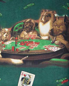 5054-dogs-playing-cards.jpg