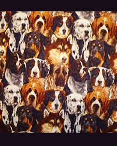 5057-dogs-109.jpg