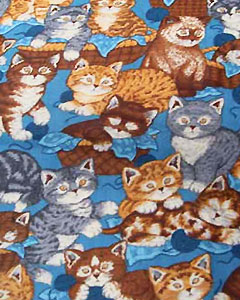 5102-cute-kitties.jpg