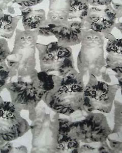 5107-cats-105.jpg