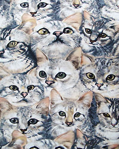 5110-cats-110.jpg