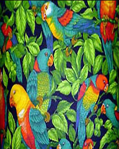 5154-parrot-101.jpg