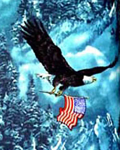 5156-eagle-101.jpg
