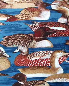 5158-duck-101.jpg