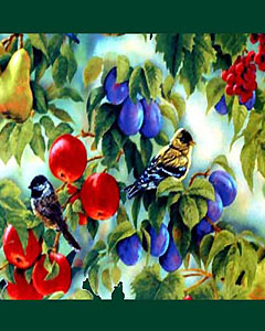 5160-canary-101.jpg