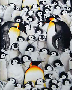 5161-penguin-101.jpg