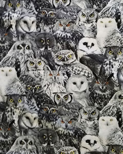 5162-packed-of-owls.jpg