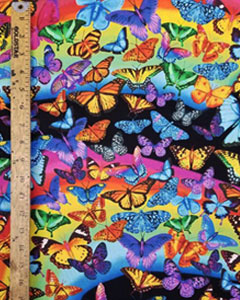 5184-butterflies-and-rainbow.jpg