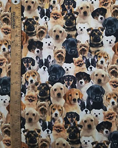 5191-packed-of-puppies.jpg