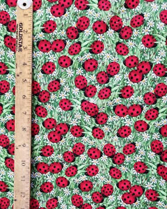5197-ladybugs.jpg