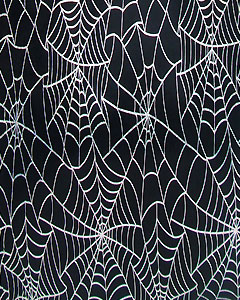 5284-spider-web-halloween-insect.jpg 5284-spider-web-halloween-insect.jpg