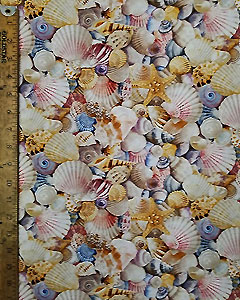 5636-beaches-shells-m.jpg