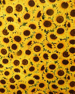 5645-sunflowers.jpg