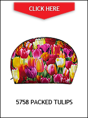 5758-tulips.jpg