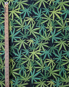 5768-herb-green.jpg