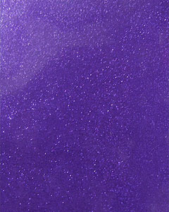 8212-shiny-shimmering-purple-2.jpg