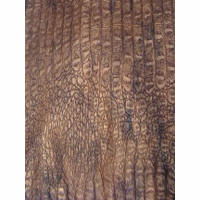 3038 ANIMAL PRINT CROCODILE BROWN FABRIC PATTERN