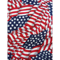 4351 FLAGS AMERICAN 101 FABRIC PATTERN