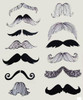 4125 WHERE'S MY STACHE MUSTACHE
