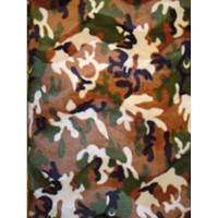 4302 CAMEO FLUDGE 102 FABRIC PATTERN