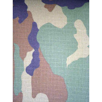 4301 CAMEO FLUDGE 101 FABRIC PATTERN