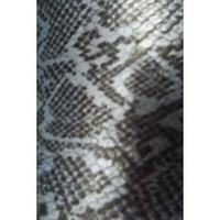 3064 ANIMAL PRINT SNAKE 104 FABRIC PATTERN