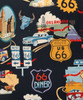 3152 ROUTE 66 102