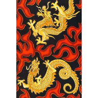 3306 DRAGON FIRE 102 FABRIC PATTERN