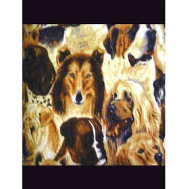 9055 ANIMALS DOGS